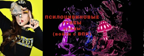 хмурый Алексеевка