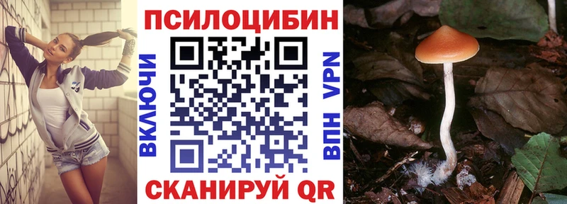 где продают   Полевской  Псилоцибиновые грибы прущие грибы 