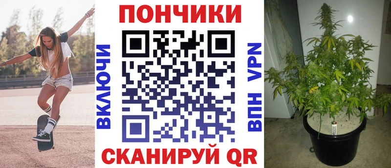 Шишки марихуана индика  Полевской 